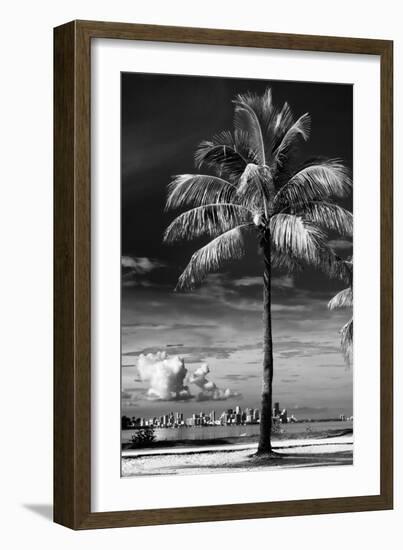 Palm Tree overlooking Downtown Miami - Florida-Philippe Hugonnard-Framed Photographic Print