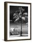 Palm Tree overlooking Downtown Miami - Florida-Philippe Hugonnard-Framed Photographic Print