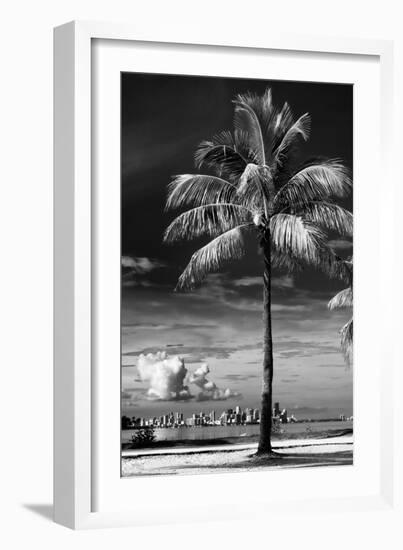 Palm Tree overlooking Downtown Miami - Florida-Philippe Hugonnard-Framed Photographic Print