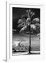 Palm Tree overlooking Downtown Miami - Florida-Philippe Hugonnard-Framed Photographic Print