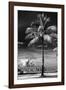 Palm Tree overlooking Downtown Miami - Florida-Philippe Hugonnard-Framed Photographic Print