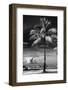 Palm Tree overlooking Downtown Miami - Florida-Philippe Hugonnard-Framed Photographic Print