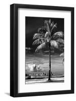 Palm Tree overlooking Downtown Miami - Florida-Philippe Hugonnard-Framed Photographic Print