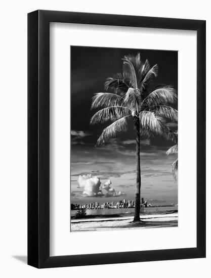 Palm Tree overlooking Downtown Miami - Florida-Philippe Hugonnard-Framed Photographic Print