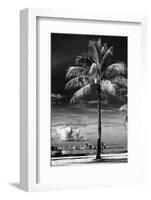 Palm Tree overlooking Downtown Miami - Florida-Philippe Hugonnard-Framed Photographic Print