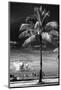 Palm Tree overlooking Downtown Miami - Florida-Philippe Hugonnard-Mounted Photographic Print