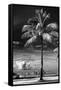 Palm Tree overlooking Downtown Miami - Florida-Philippe Hugonnard-Framed Stretched Canvas