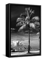 Palm Tree overlooking Downtown Miami - Florida-Philippe Hugonnard-Framed Stretched Canvas