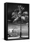 Palm Tree overlooking Downtown Miami - Florida-Philippe Hugonnard-Framed Stretched Canvas
