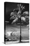 Palm Tree overlooking Downtown Miami - Florida-Philippe Hugonnard-Stretched Canvas