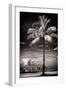 Palm Tree overlooking Downtown Miami - Florida-Philippe Hugonnard-Framed Photographic Print