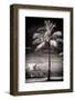 Palm Tree overlooking Downtown Miami - Florida-Philippe Hugonnard-Framed Photographic Print