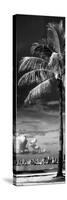 Palm Tree overlooking Downtown Miami - Florida-Philippe Hugonnard-Stretched Canvas