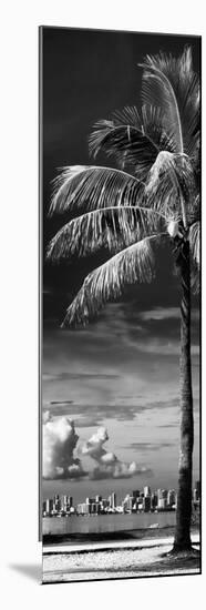 Palm Tree overlooking Downtown Miami - Florida-Philippe Hugonnard-Mounted Photographic Print