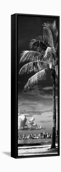 Palm Tree overlooking Downtown Miami - Florida-Philippe Hugonnard-Framed Stretched Canvas