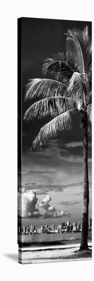 Palm Tree overlooking Downtown Miami - Florida-Philippe Hugonnard-Stretched Canvas