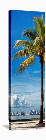 Palm Tree overlooking Downtown Miami - Florida-Philippe Hugonnard-Stretched Canvas