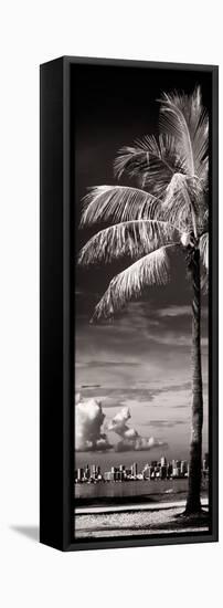 Palm Tree overlooking Downtown Miami - Florida-Philippe Hugonnard-Framed Stretched Canvas