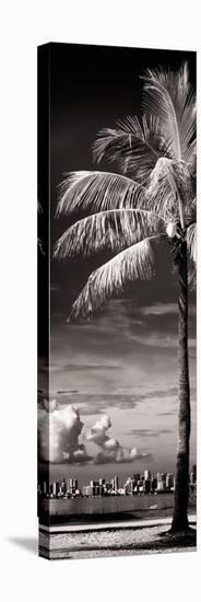 Palm Tree overlooking Downtown Miami - Florida-Philippe Hugonnard-Stretched Canvas