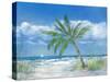 Palm Tree Paradise-Julie DeRice-Stretched Canvas