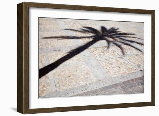 Palm Tree Shadow in Cadiz-Felipe Rodriguez-Framed Photographic Print