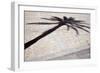 Palm Tree Shadow in Cadiz-Felipe Rodriguez-Framed Photographic Print