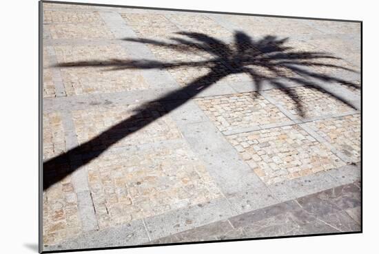 Palm Tree Shadow in Cadiz-Felipe Rodriguez-Mounted Photographic Print