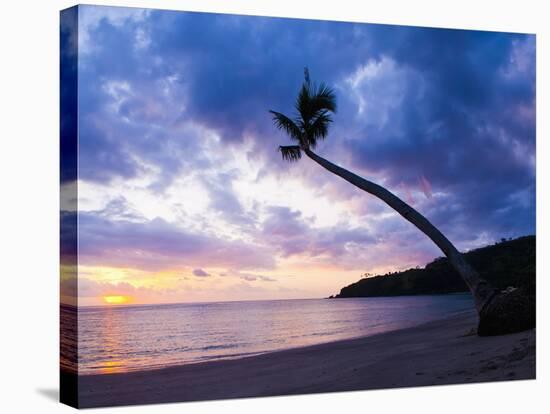 Palm Tree Silhouette at Sunset on the Tropical Island Paradise of Lombok, Indonesia, Southeast Asia-Matthew Williams-Ellis-Stretched Canvas