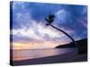 Palm Tree Silhouette at Sunset on the Tropical Island Paradise of Lombok, Indonesia, Southeast Asia-Matthew Williams-Ellis-Stretched Canvas