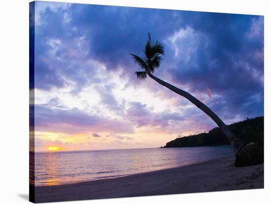 Palm Tree Silhouette at Sunset on the Tropical Island Paradise of Lombok, Indonesia, Southeast Asia-Matthew Williams-Ellis-Stretched Canvas