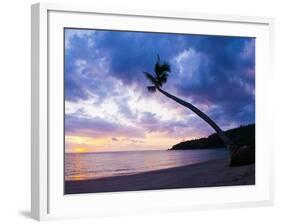 Palm Tree Silhouette at Sunset on the Tropical Island Paradise of Lombok, Indonesia, Southeast Asia-Matthew Williams-Ellis-Framed Photographic Print