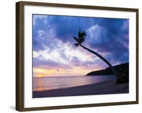 Palm Tree Silhouette at Sunset on the Tropical Island Paradise of Lombok, Indonesia, Southeast Asia-Matthew Williams-Ellis-Framed Photographic Print