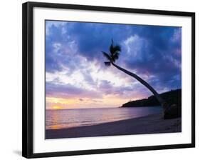 Palm Tree Silhouette at Sunset on the Tropical Island Paradise of Lombok, Indonesia, Southeast Asia-Matthew Williams-Ellis-Framed Photographic Print