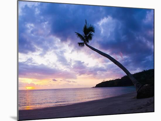 Palm Tree Silhouette at Sunset on the Tropical Island Paradise of Lombok, Indonesia, Southeast Asia-Matthew Williams-Ellis-Mounted Photographic Print