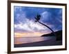 Palm Tree Silhouette at Sunset on the Tropical Island Paradise of Lombok, Indonesia, Southeast Asia-Matthew Williams-Ellis-Framed Photographic Print