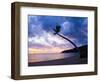 Palm Tree Silhouette at Sunset on the Tropical Island Paradise of Lombok, Indonesia, Southeast Asia-Matthew Williams-Ellis-Framed Photographic Print