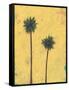 Palm Tree Silhouette-Jan Weiss-Framed Stretched Canvas