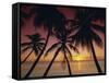 Palm Tree Silhouettes at Pigeon Point, Tobago, Trinidad and Tobago, West Indies, Caribbean-Gavin Hellier-Framed Stretched Canvas