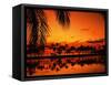 Palm Tree Silhouettes at Sunset-James Randklev-Framed Stretched Canvas