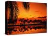 Palm Tree Silhouettes at Sunset-James Randklev-Stretched Canvas