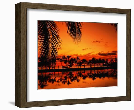 Palm Tree Silhouettes at Sunset-James Randklev-Framed Photographic Print