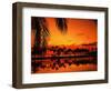 Palm Tree Silhouettes at Sunset-James Randklev-Framed Photographic Print