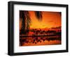 Palm Tree Silhouettes at Sunset-James Randklev-Framed Photographic Print