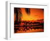 Palm Tree Silhouettes at Sunset-James Randklev-Framed Photographic Print