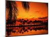 Palm Tree Silhouettes at Sunset-James Randklev-Mounted Photographic Print