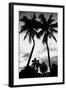 Palm Tree Silhouettes, Naples, Florida-null-Framed Premium Giclee Print