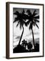 Palm Tree Silhouettes, Naples, Florida-null-Framed Premium Giclee Print