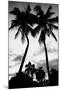 Palm Tree Silhouettes, Naples, Florida-null-Mounted Premium Giclee Print