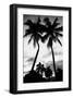 Palm Tree Silhouettes, Naples, Florida-null-Framed Art Print