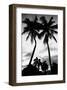 Palm Tree Silhouettes, Naples, Florida-null-Framed Art Print